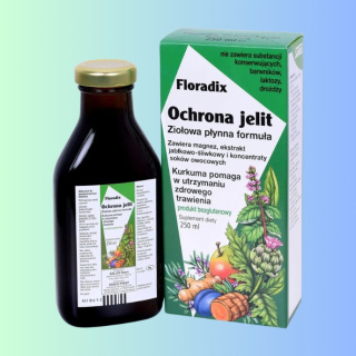 Floradix Ochrona jelit - Ziołowa płynna formuła, Salus Haus, 250ml
