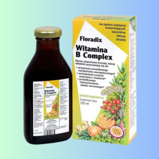 Floradix Witamina B Complex - płynna witaminowa formuła, Salus Haus, 250ml