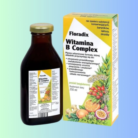 Floradix Witamina B Complex - płynna witaminowa formuła, Salus Haus, 250ml Floradix Witamina B Complex - płynna witaminowa formuła, Salus Haus, 250ml
