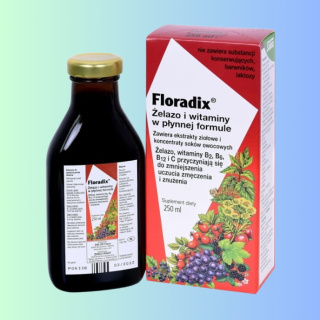 Floradix - Żelazo i witaminy w płynnej formule, Salus Haus, 250ml