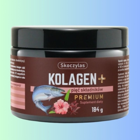 KOLAGEN+ PREMIUM z łososia – pięć składników, Skoczylas, 184g KOLAGEN+ PREMIUM z łososia – pięć składników, Skoczylas, 184g