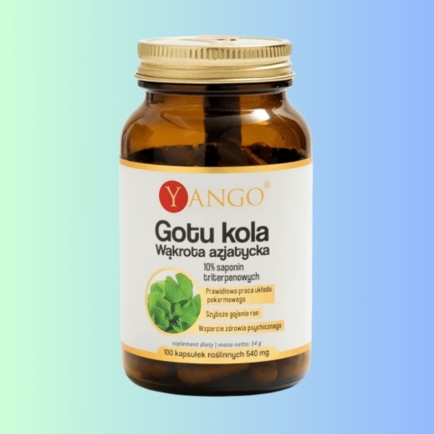 YANGO Gotu Kola ekstrakt 10% saponin triterpenowych 100 kapsułek suplement diety wsparcie pamięci i krążenia