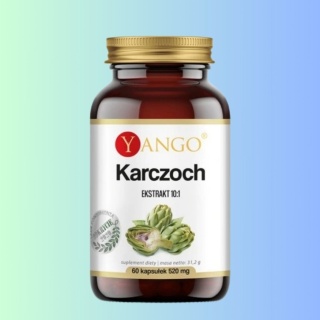 YANGO Karczoch ekstrakt 10:1 60 kapsułek suplement diety wspiera wątrobę i utrzymanie prawidłowego poziomu cholesterolu