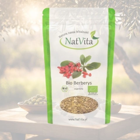 Korzeń berberysu pocięty – susz 65 g, naturalne wsparcie odporności – NatVita