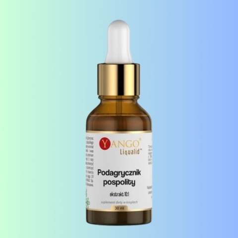 Suplement diety Yango Podagrycznik pospolity – ekstrakt 10:1 – 30 ml