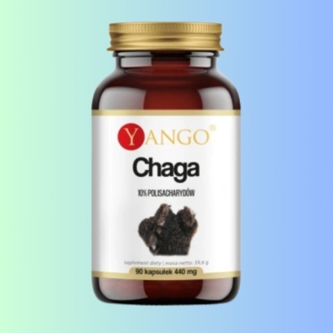 YANGO Chaga 90 kapsułek suplement diety grzyb chaga Inonotus obliquus