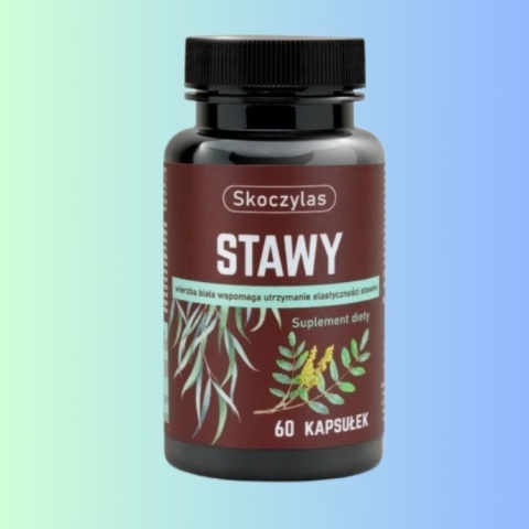 Skoczylas Stawy 60 kapsułek kadzidłowiec indyjski suplement diety stawy