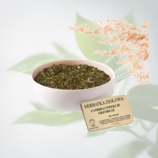 Ziołowy Raj Herbatka ziołowa Candida i infekcje grzybicze 150 g mieszanka ziołowa